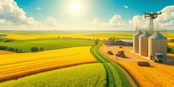 Mercado agrícola bate recordes em produção e exportação