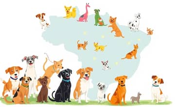Plano de saúde para pets com cobertura nacional